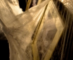 DSC 0115.JPG